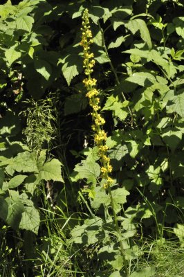 image030.jpg