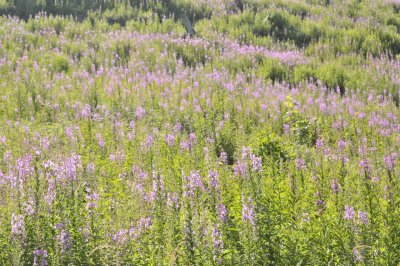 image037.jpg