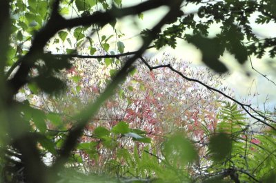 image040.jpg
