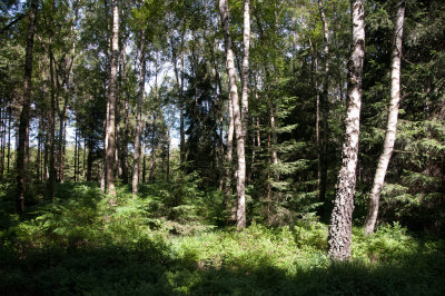 Deutsch Belgischer Naturpark Hohes Venn