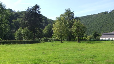 Saftige Wiesen im Wesertal bei Chaudfontaine