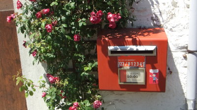 Postkasten und Mauerblumen