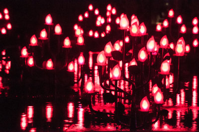 XIANselect (125 of 42).JPG