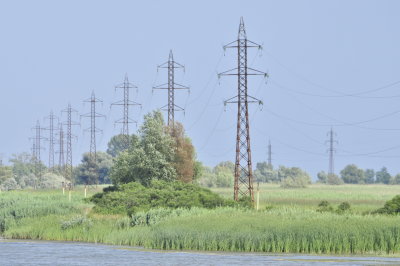 Danube Delta - June 2015