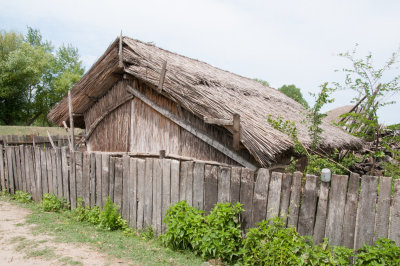 Reed House in Letea