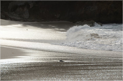 The sandy beach looks like satin silk when the wave retrieves