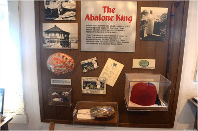 Whale Museum: Abalone Industry