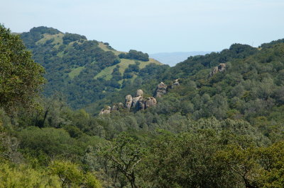 These rocks remind me of the statues on Easter Island