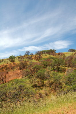 This spring day has the color of autumn