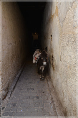 a narrow alleyway, and donkeys are the main transport