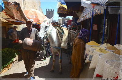 Fez Medina