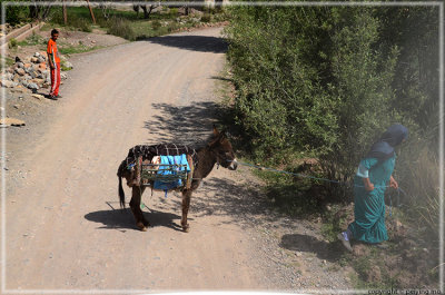 In the Berber village near the Ahansel River