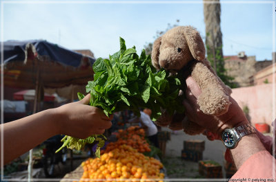 Fresh mint - lots of it