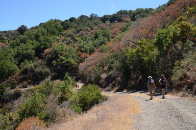 Sierra Azul OSP