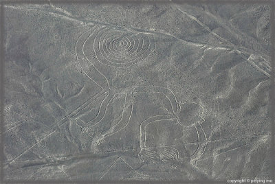 Nazca line: monkey