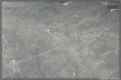 Nazca line: humming bird - the most well known of all the patterns