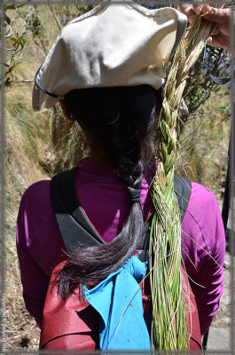 Braids made of dead grass along the trail - they were used to move boulders in the Inca era.