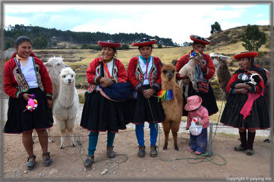 Ladies and their irresistible camelids