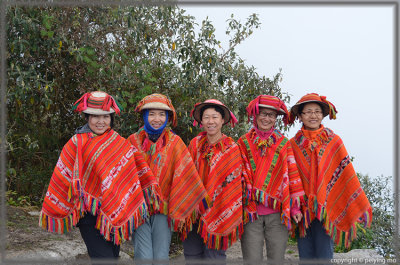 Guides and Porters