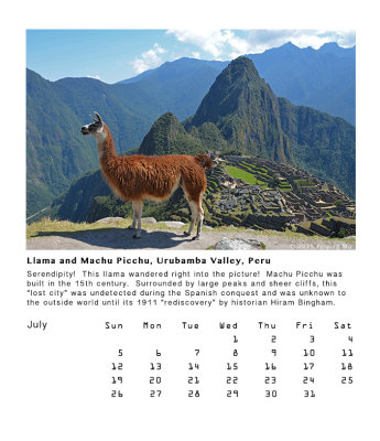 Llama and Machu Picchu, Peru