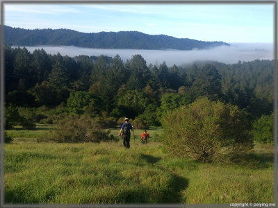 Ocean fog invades the mountain range