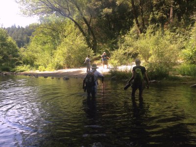 Henry Cowell Redwoods State Park - Fall Creek Unit