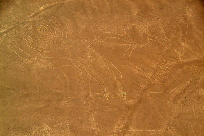Monkey - Nazca Lines