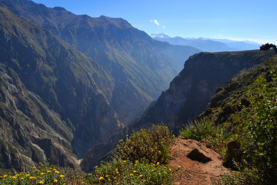 Colca Canyon