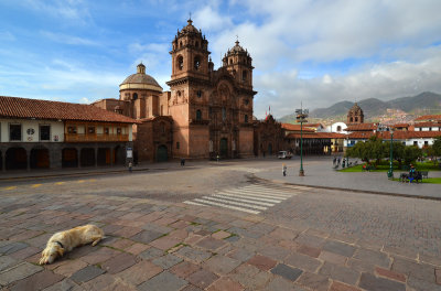 Sleeping Dog - Plaza de Armas, Cusco
