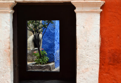 Tree colors - Monastery of St. Catherine, Arequipa