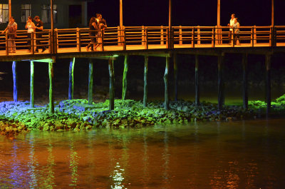 Dock by Night - Santa Cruz Island