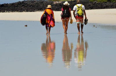 Reflection - Tortuga Bay (Santa Cruz Island)