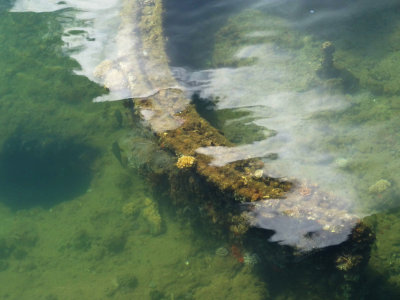 uss arizona memorial, pearl harbor