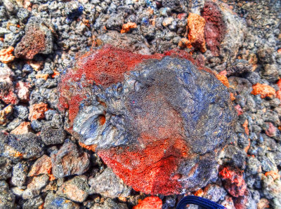 lava rock