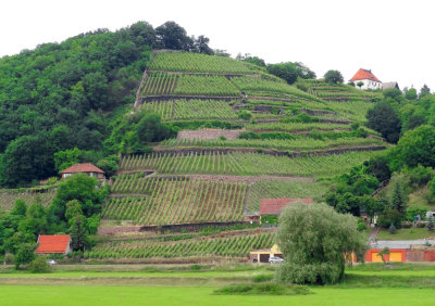 along the elbe