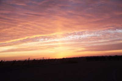 Mustang Airport Sunset