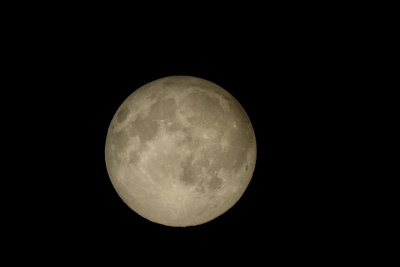 1024small20140612-_DSC3620.jpg