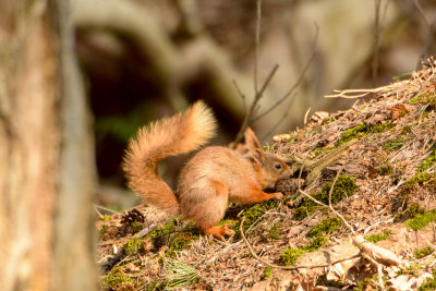 _DSC1582_1024px.jpg