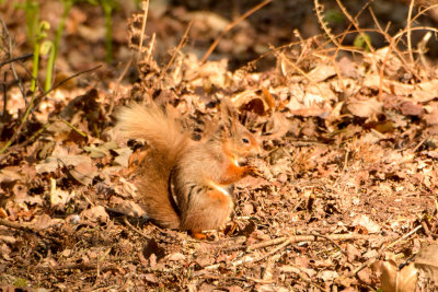 _DSC1576_1024px.jpg