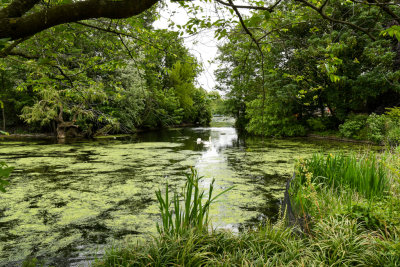 St James's Park Lake