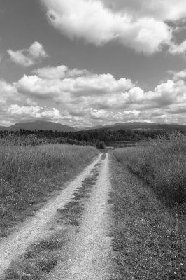 Path's-End.jpg