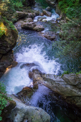 Lynn Canyon & Rice Lake