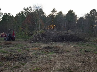 brush_pile1.jpg