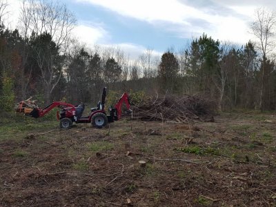 brush_pile2.jpg
