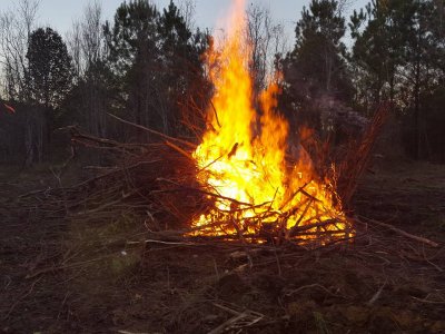 burn_pile.jpg