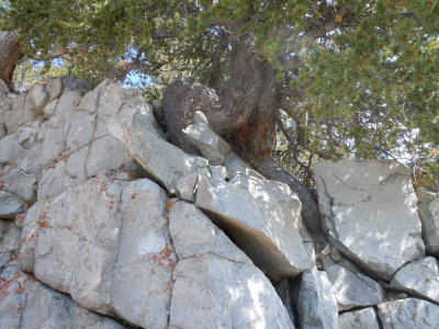 DSCN5691.JPG