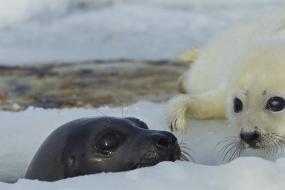 OGP_20130301_0177.jpg