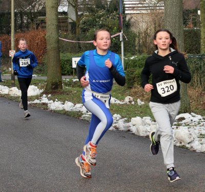 OGP_20141231_0250.jpg