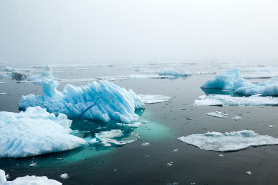 Landscape sea ice