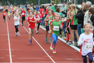 OGP_20150913_0016.jpg